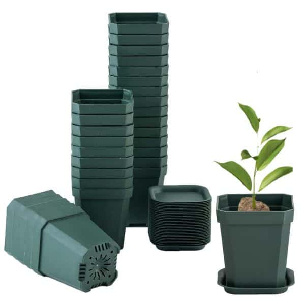 3" Nursery Pot Thick Plastic Square Flower Planting Pots with Saucers