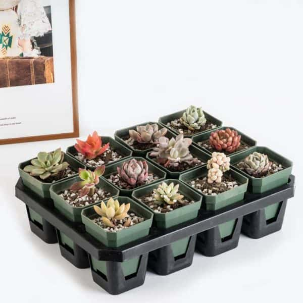 3" Nursery Pot Thick Plastic Square Flower Planting Pots with Saucers