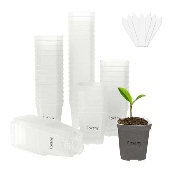 3" Clear Nursery Pot Plastic Square Flower Planting Pots with Plant Labels