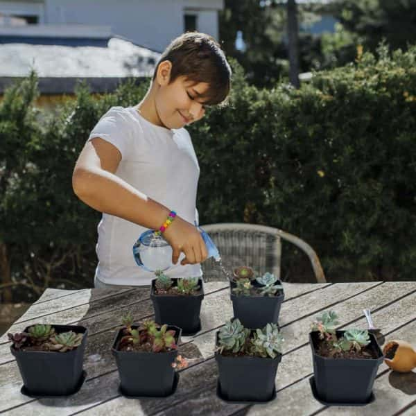 4" Nursery Pot Thick Plastic Square Flower Planting Pots with Saucers