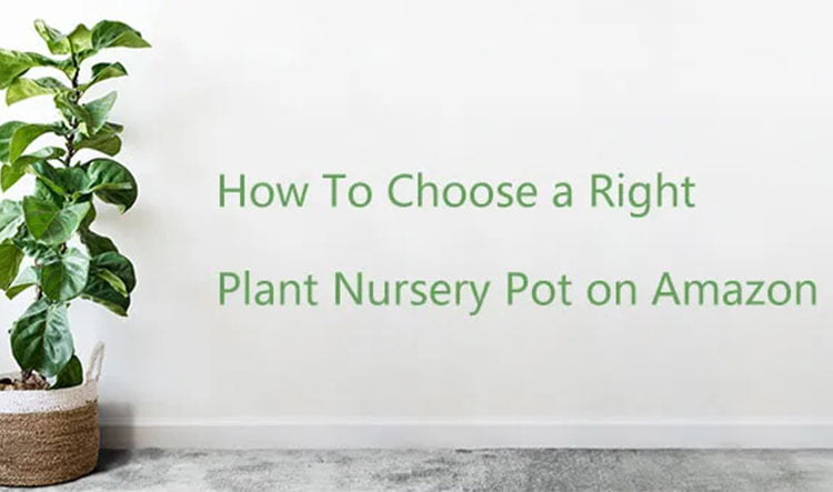 How To Choose a Right Plant Nursery Pot on Amazon