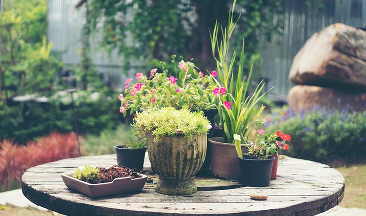 All kinds of garden decoration, each is so elegant