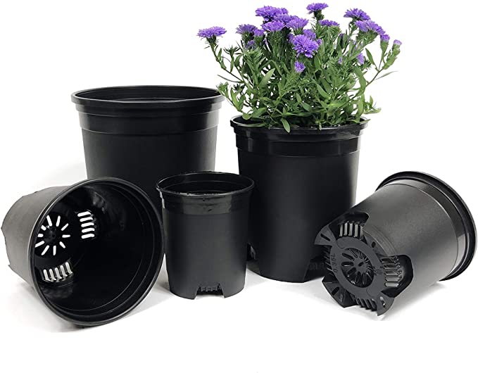 How To Choose a Right Plant Nursery Pot on Amazon