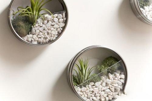 Waste use: 12 waste use tips DIY creative potted plants