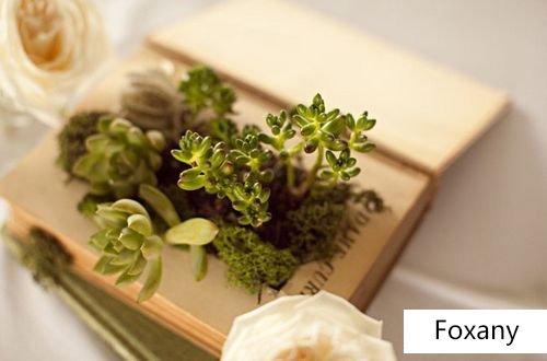 Waste use: 12 waste use tips DIY creative potted plants