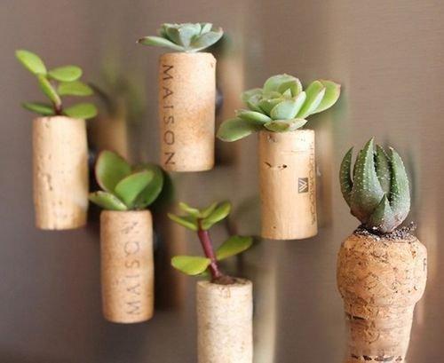 Waste use: 12 waste use tips DIY creative potted plants