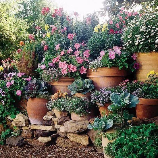 Container garden, how to choose potted plants to make it perfect with the garden