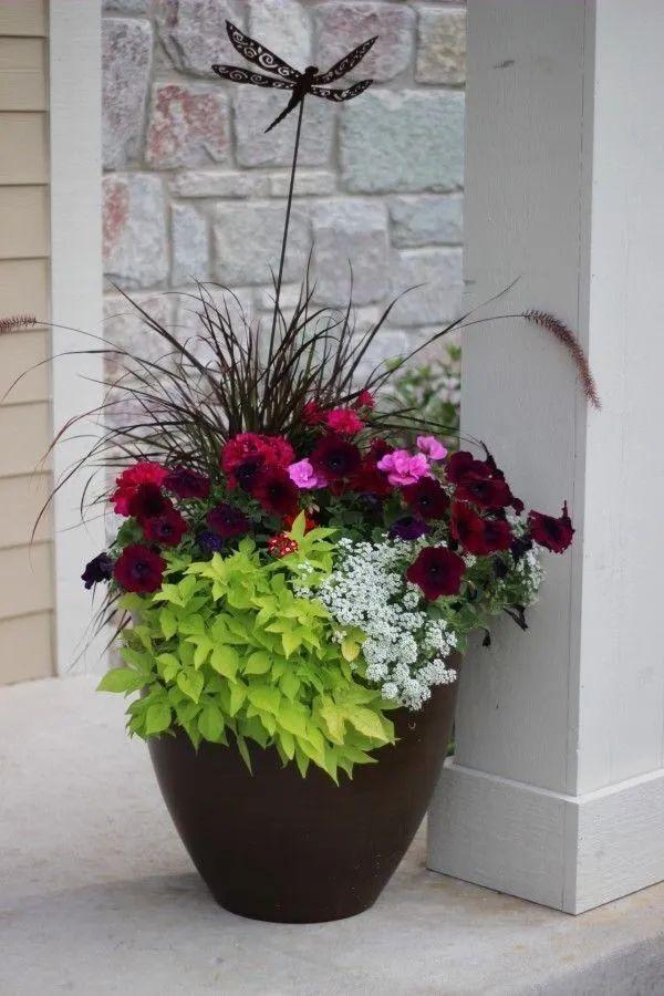 Container garden, how to choose potted plants to make it perfect with the garden