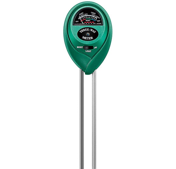 How to Take Care of a Bonsai Tree—for Beginners!