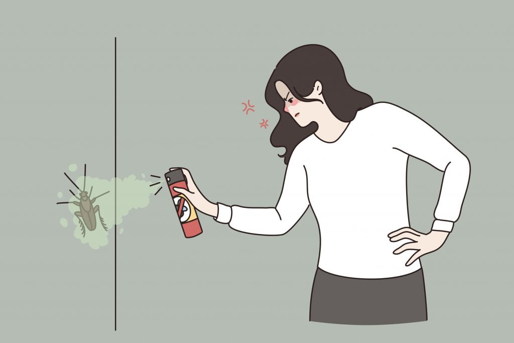 How to Choose the Best Fly Swatter