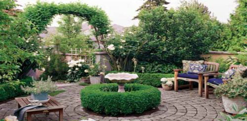 How to decorate a 40 square meter garden