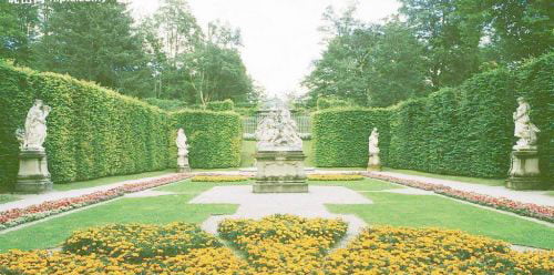 How to decorate a 40 square meter garden