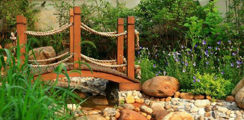 How to decorate a 40 square meter garden