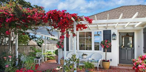 How to decorate a 40 square meter garden