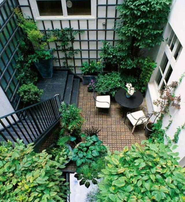 Courtyard decoration renderings | How to decorate a sunken courtyard to look good?