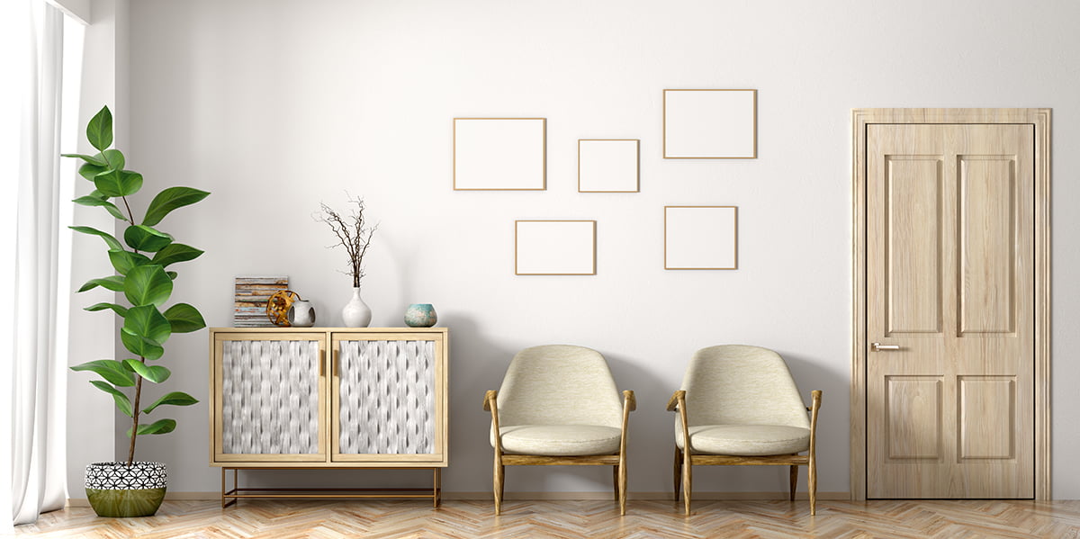 Unique & Interesting House Plants You Will Love